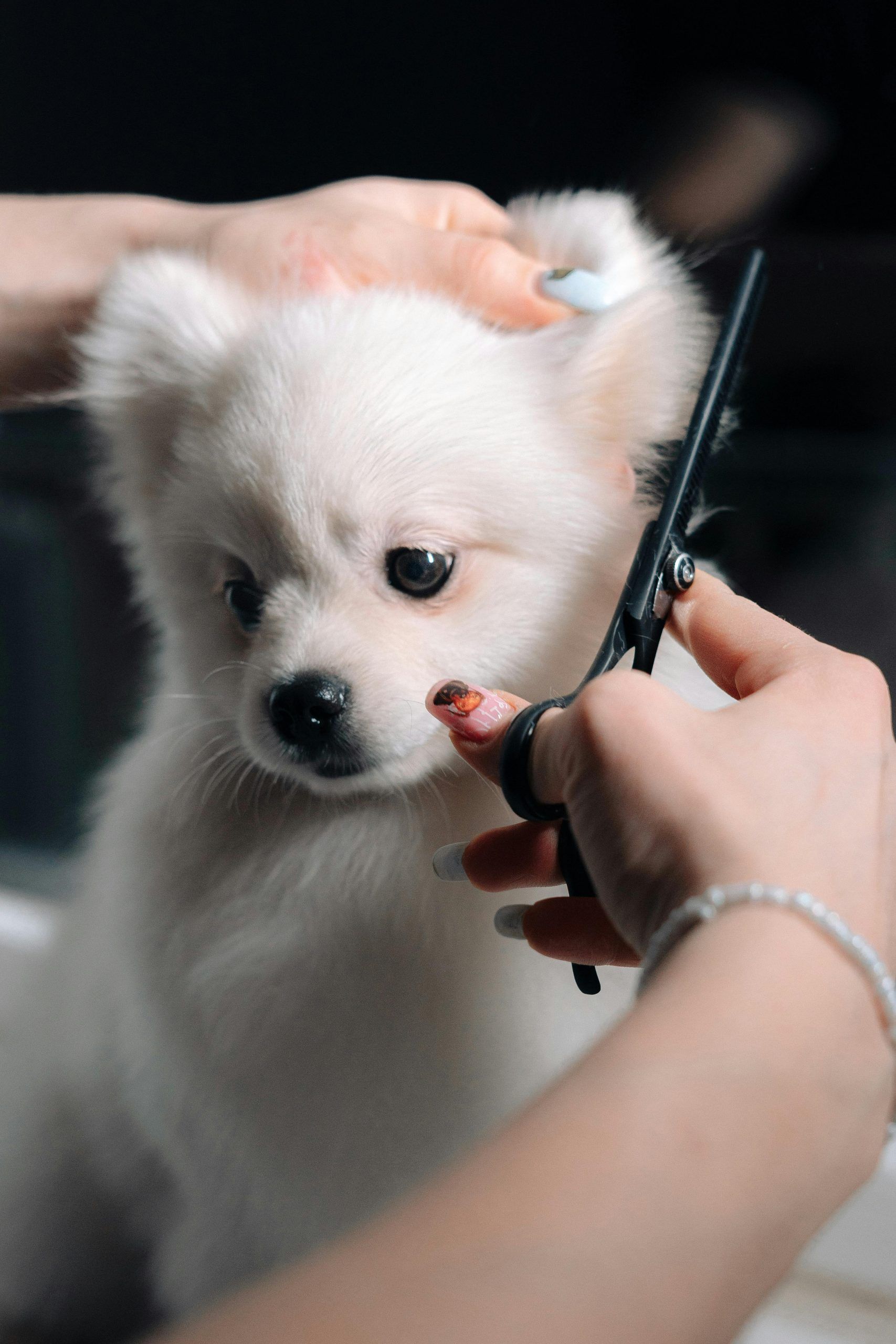 Half Grooming