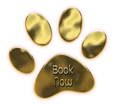 Book Now Paw