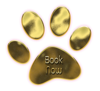 Book Now Paw
